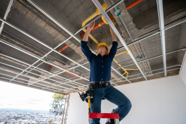 Best Plumbing Services Near Me  in Surgoinsville, TN